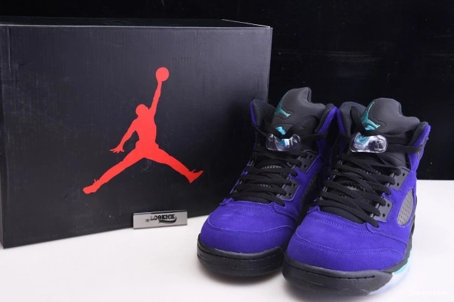 HYPE 5 136027-500 Alternate Grape Jordan Air Retro 0811